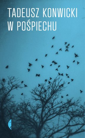 W pośpiechu – ebook