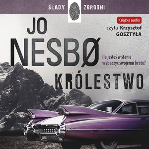 Królestwo – audiobook
