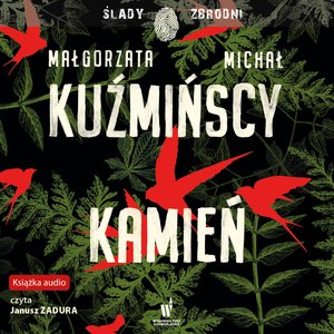 Etnokryminał Tom 3 Kamień – audiobook