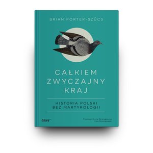 Całkiem zwyczajny kraj – ebook