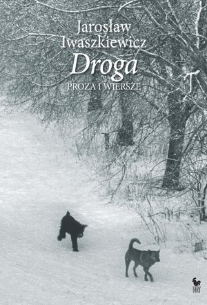 Droga – ebook