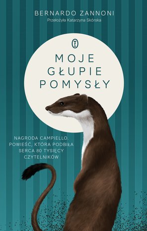 Moje głupie pomysły – ebook