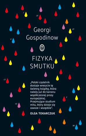 Fizyka smutku – ebook