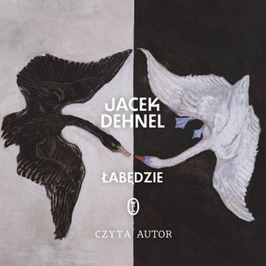 Łabędzie – audiobook