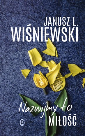 Nazwijmy to miłość – ebook