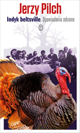 Indyk beltsville – ebook