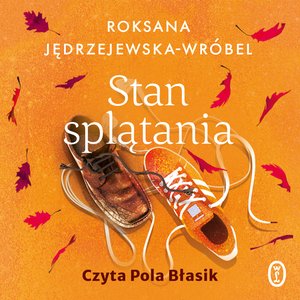 Stan splątania – audiobook