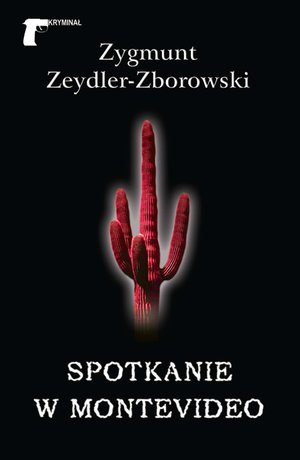 Spotkanie w Montevideo – ebook