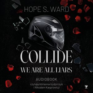 Collide. We Are All Liars – audiobook