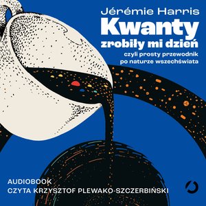 Kwanty zrobiły mi dzień, czyli prosty przewodnik po naturze wszechświata – audiobook