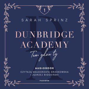 Dunbridge Academy. Tam gdzie ty – audiobook