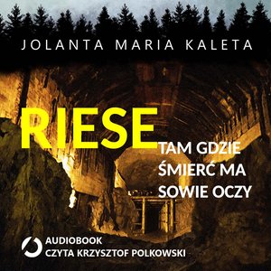 Riese, tam gdzie śmierć ma sowie oczy – audiobook