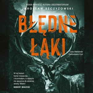 Błędne łąki – audiobook
