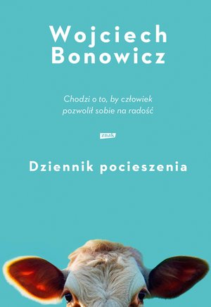 Dziennik pocieszenia – ebook