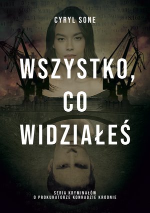 Wszystko, co widziałeś – ebook