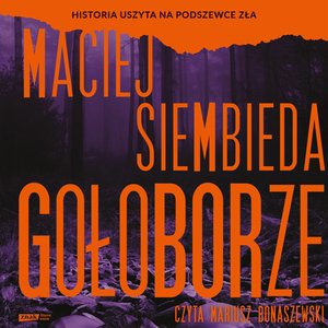 Gołoborze – audiobook