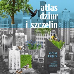 Atlas dziur i szczelin – audiobook