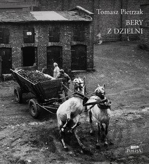 Bery z dzielni – ebook
