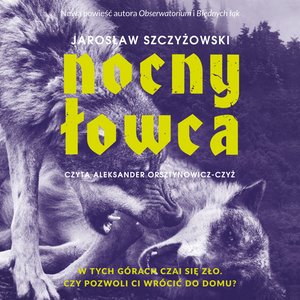 Nocny łowca – audiobook