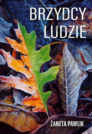 Brzydcy ludzie – ebook