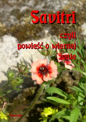 Savitri. Czyli powieść o wiernej żonie – ebooki
