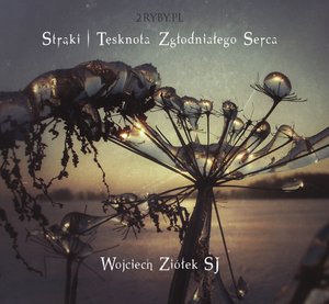 Strąki - tęsknota zgłodniałego serca – audiobook