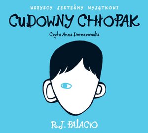 Cudowny chłopak – audiobook