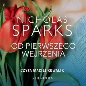 Od pierwszego wejrzenia – audiobook