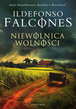 Literatura piękna, beletrystyka: Niewolnica wolności – ebook