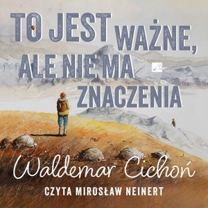 To jest ważne, ale nie ma znaczenia – audiobook