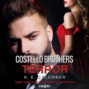Costello Brothers. Terror – audiobook