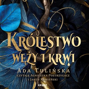 Królestwo węży i krwi – audiobook