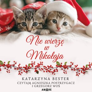 Nie wierzę w Mikołaja – audiobook