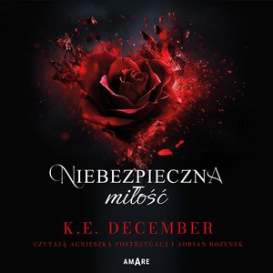 Niebezpieczna miłość – audiobook