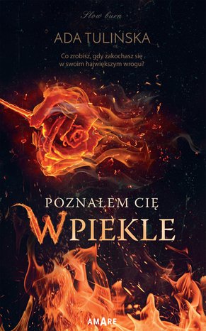 Poznałem Cię w piekle – ebook