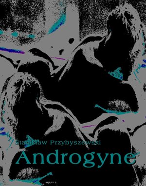 Androgyne – ebooki