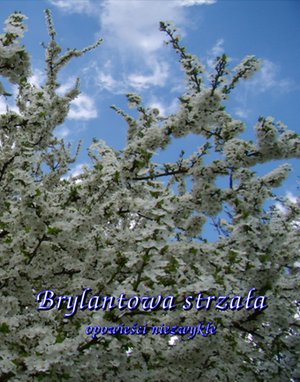 Brylantowa strzała. Opowieści niezwykłe – ebooki