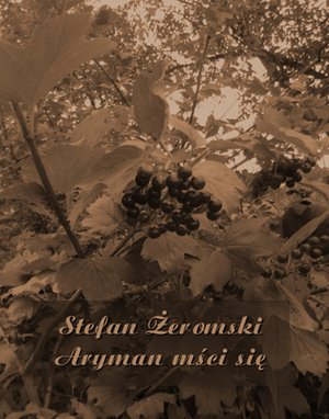 Aryman mści się – ebooki