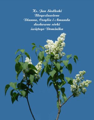 Błogosławione Dianna, Cecylia i Amanda – ebooki