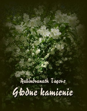 Głodne kamienie – ebooki