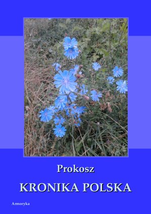 Kronika polska – ebooki