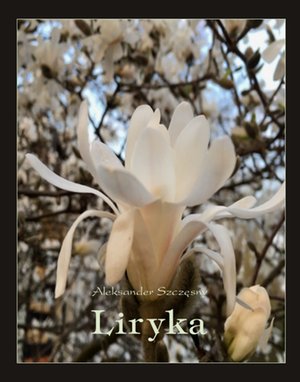 Liryka – ebooki