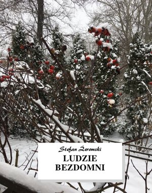 Ludzie bezdomni – ebooki
