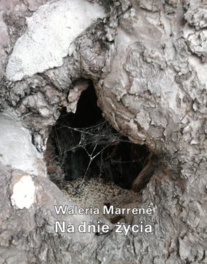 Na dnie życia – ebooki