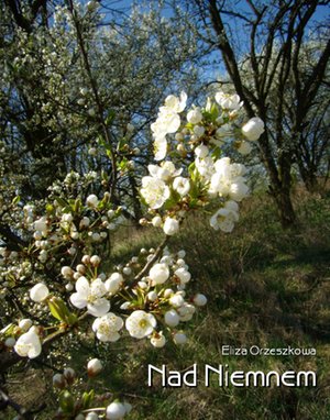 Nad Niemnem – ebooki