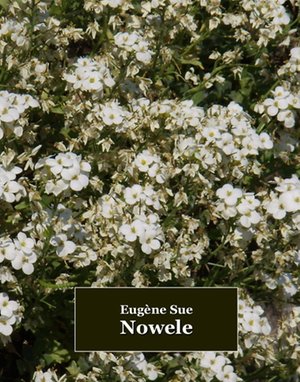 Nowele – ebooki