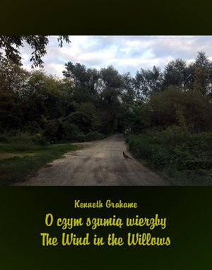 O czym szumią wierzby The Wind in the Willows – ebooki