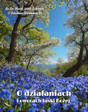 O działaniach i owocach łaski Bożej – ebooki