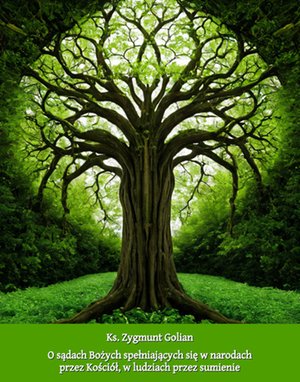 O sądach Bożych – ebooki