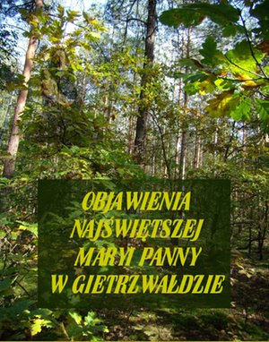 Objawienia Najświętszej Maryi Panny w Gietrzwałdzie – ebooki